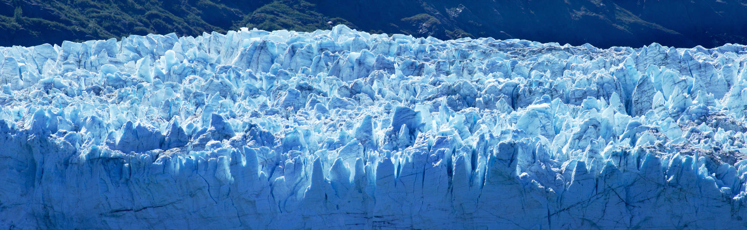 Glacier Bay landscape